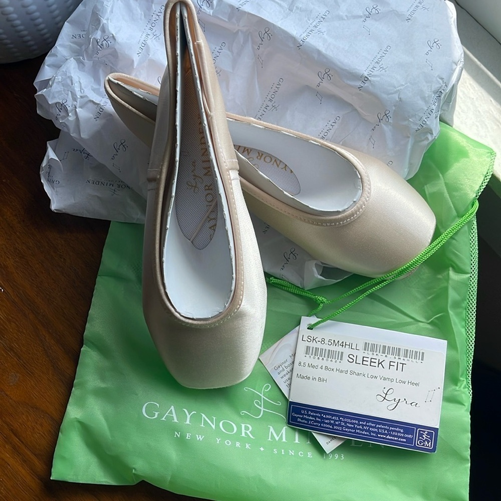 Gaynor Minden Pointe Shoes - Picture 1 of 7